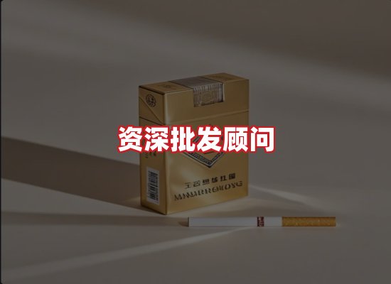 专业团队